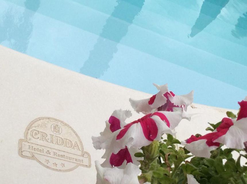 Cridda Hotel & Restaurant Gizzeria Dış mekan fotoğraf